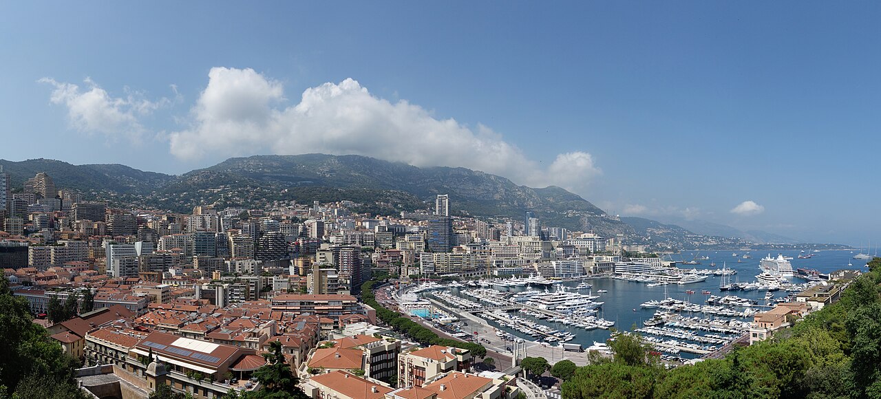 Monaco harbour and city viewed from the palace